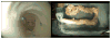 Fig. 13