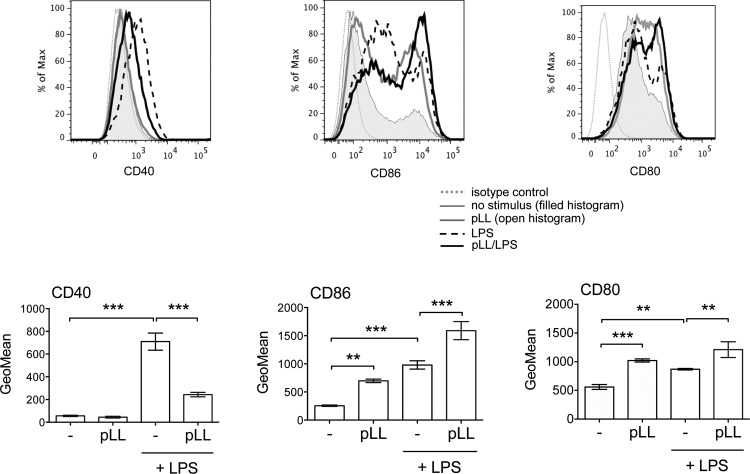 FIG 6