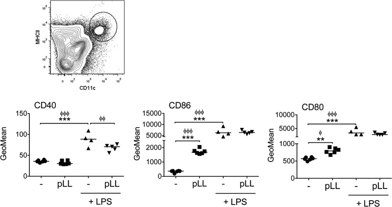 FIG 7