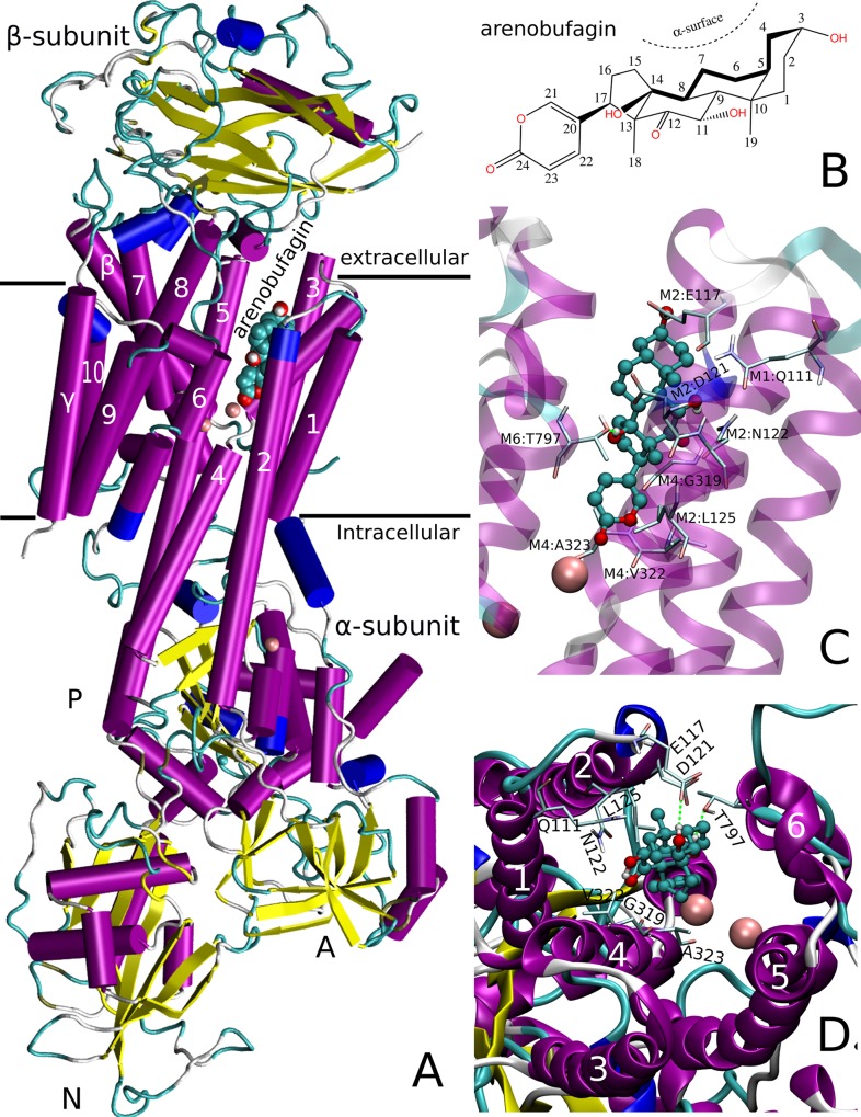 Fig 4