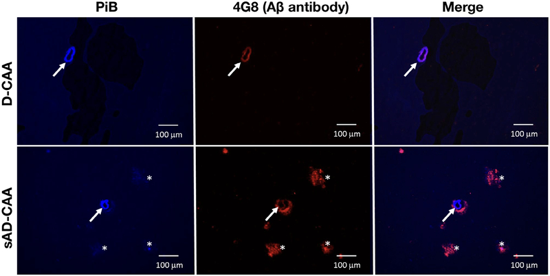 Figure 6: