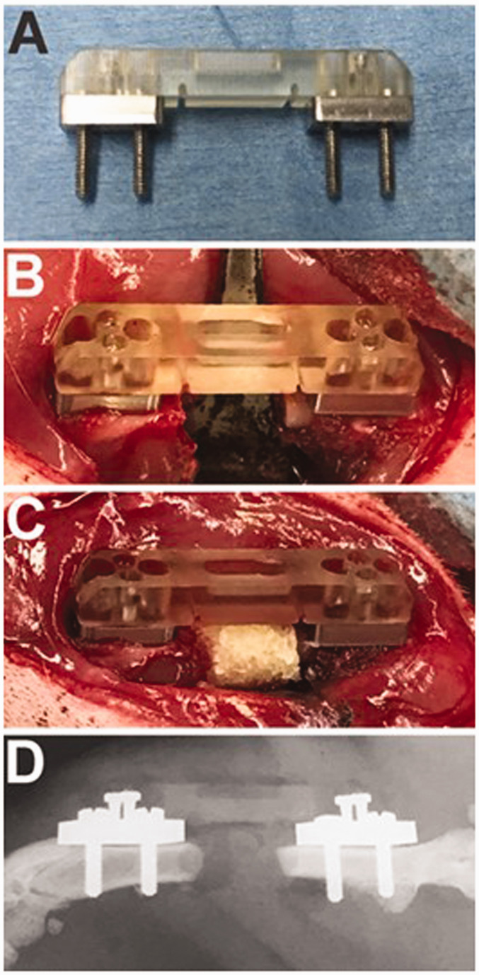 Figure 1.