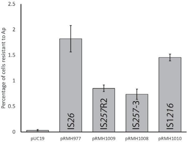 FIG 3