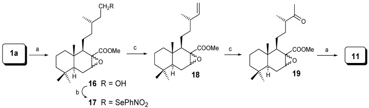 Scheme 3