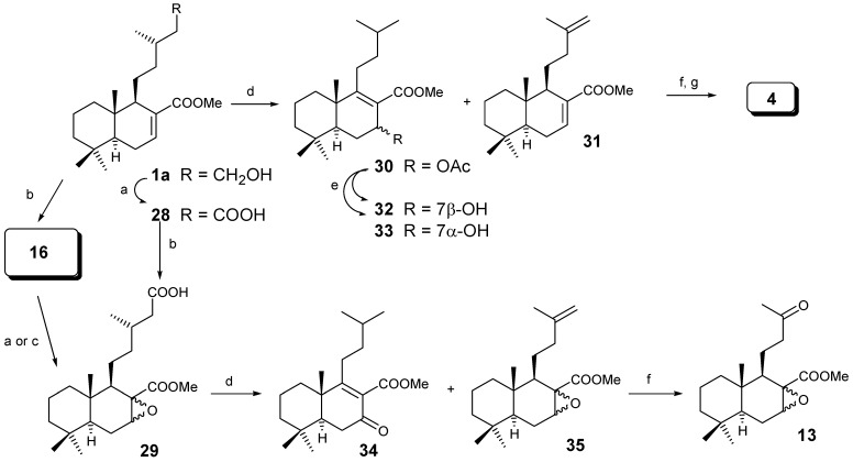 Scheme 5