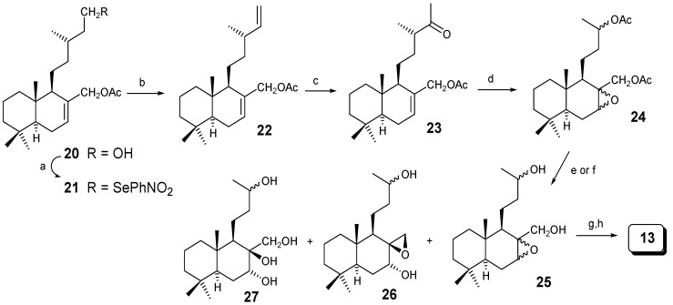 Scheme 4