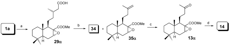 Scheme 6