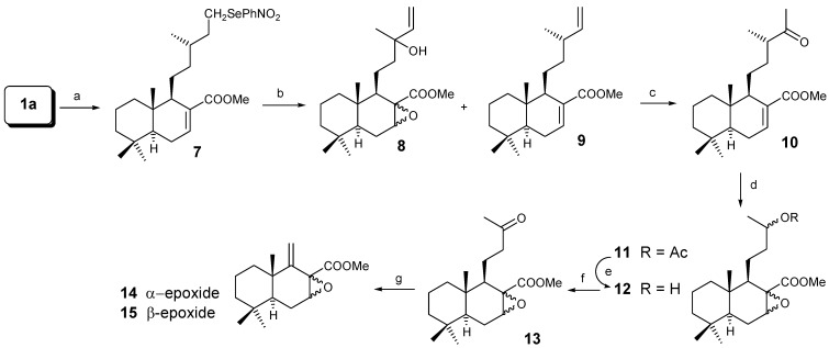 Scheme 2