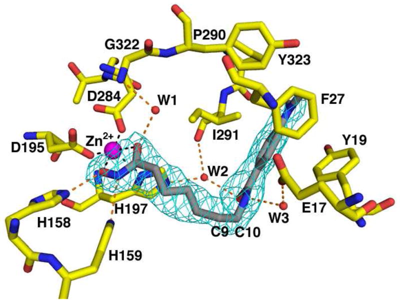 Figure 10