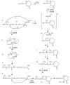 Scheme 3