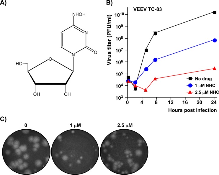FIG 1