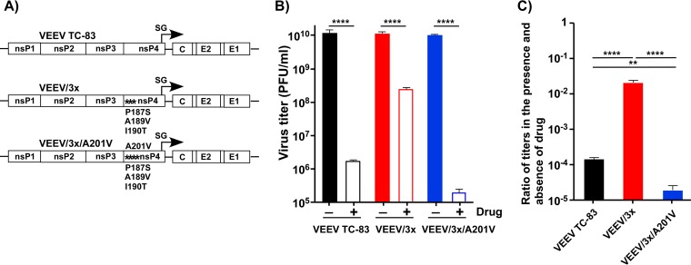 FIG 12