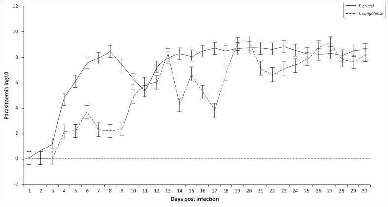 FIGURE 1-A1