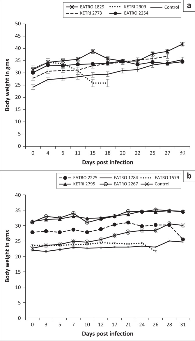 FIGURE 3