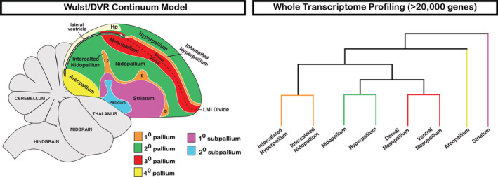 FIGURE 11