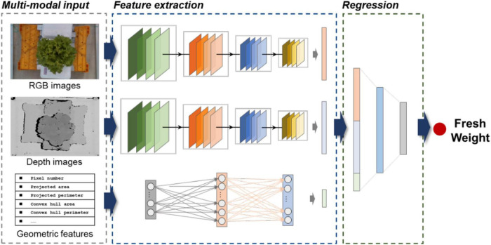 FIGURE 3