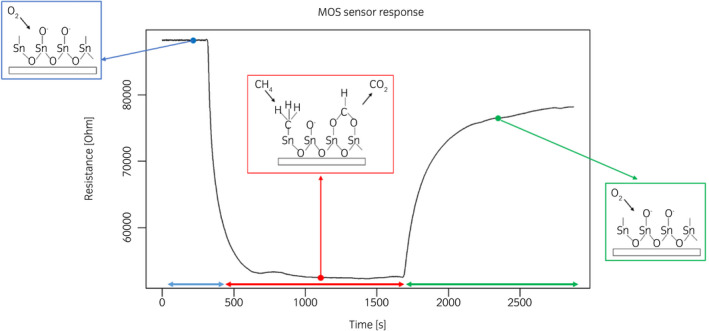 Fig. 3