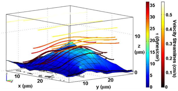 FIGURE 3