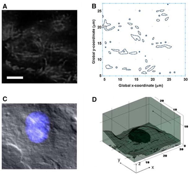 FIGURE 1