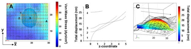 FIGURE 4