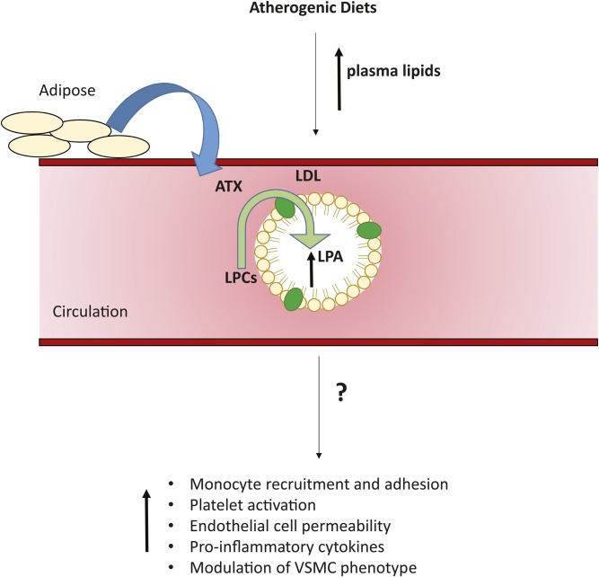 Fig. 7.