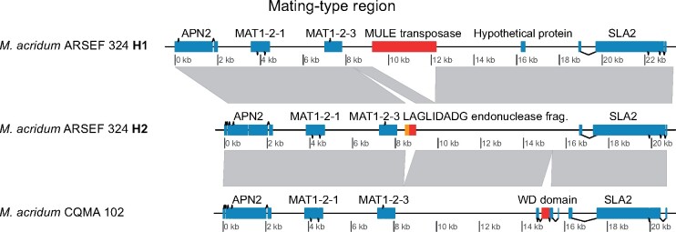 Fig. 4.