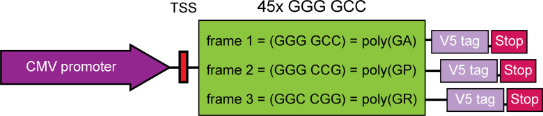 Figure S3.