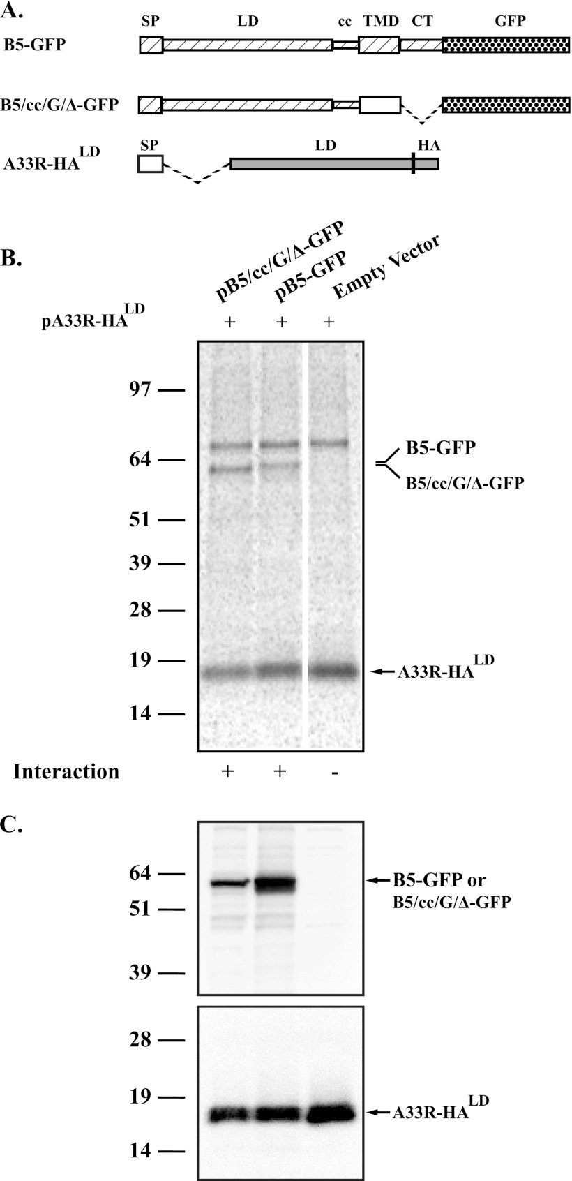 Fig 5