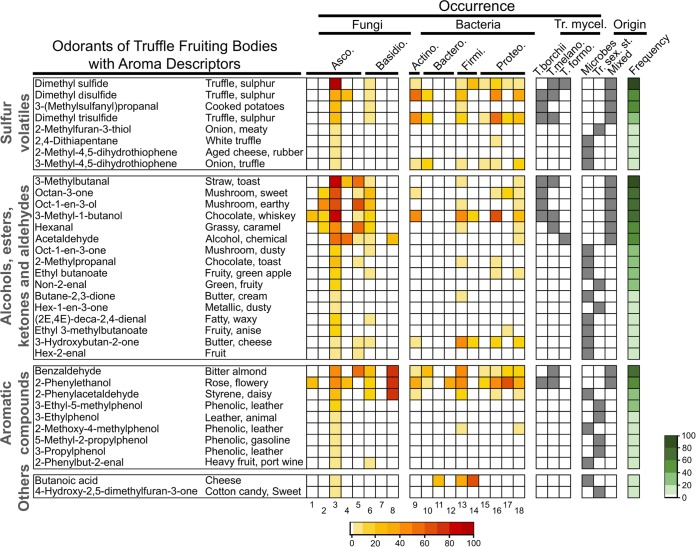 FIG 2