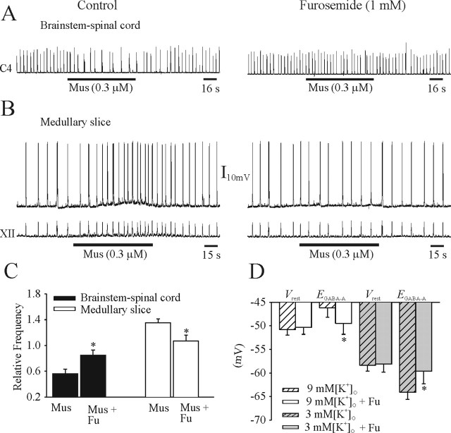 Figure 11.