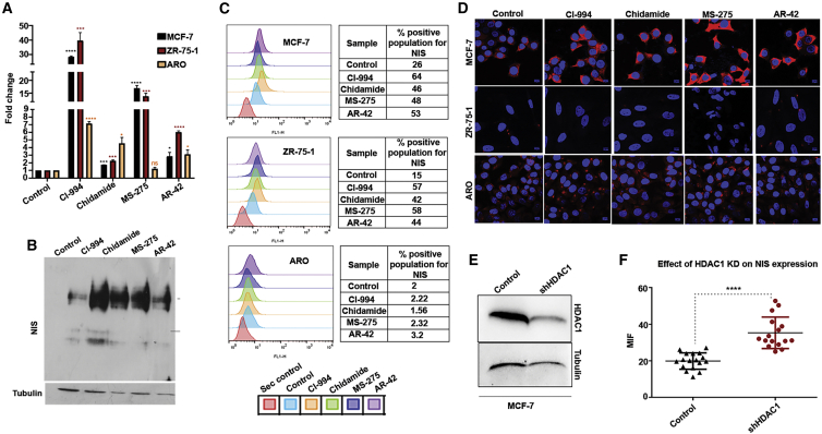 Figure 2