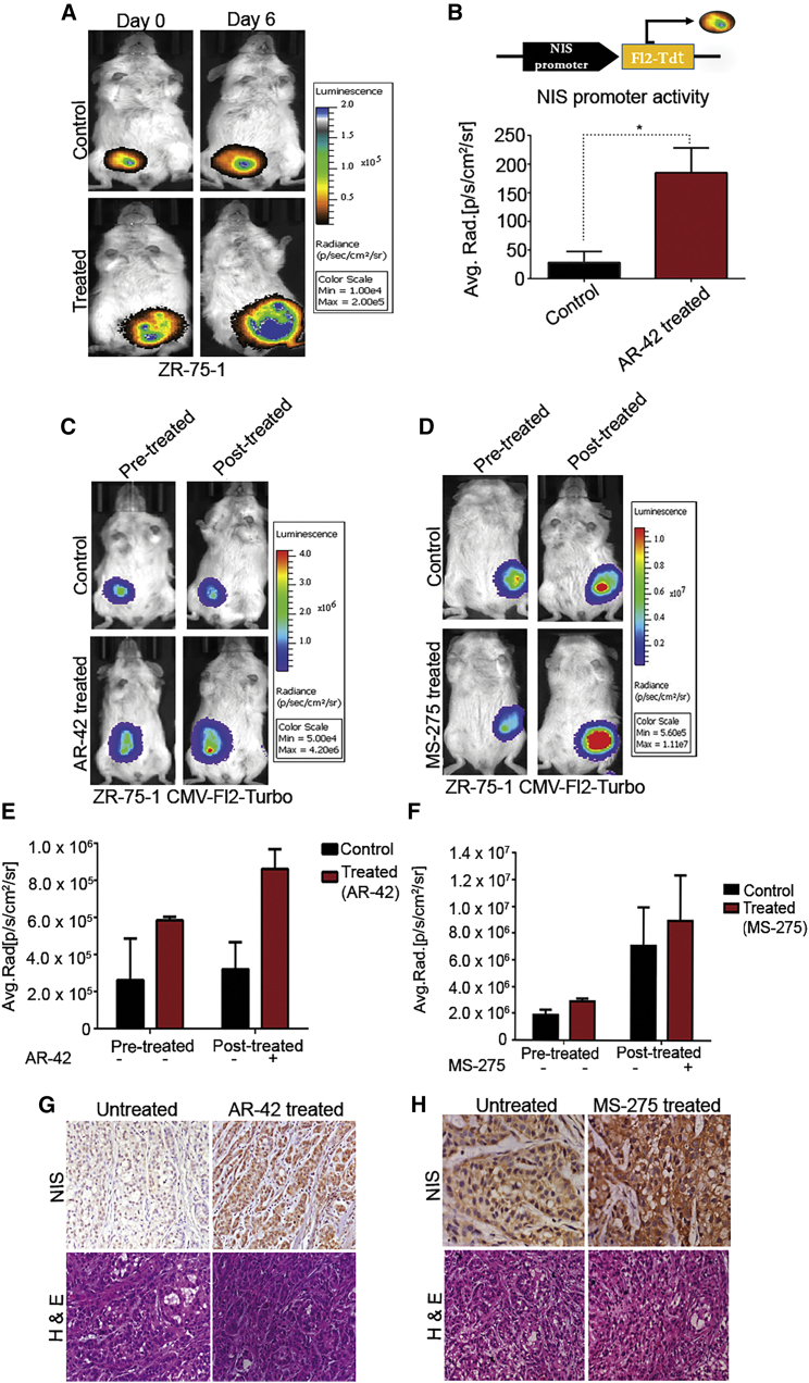 Figure 4