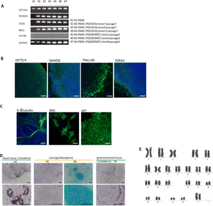 Figure 4.