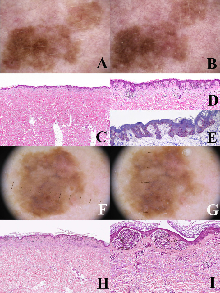 Figure 5