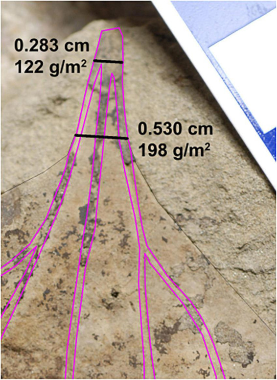 FIGURE 3