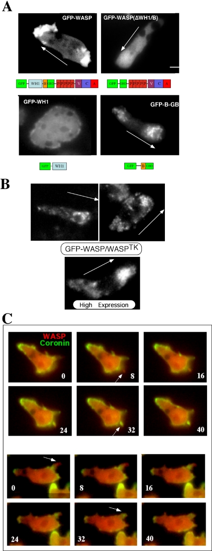 Figure 5.