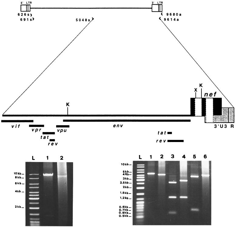 FIG. 7