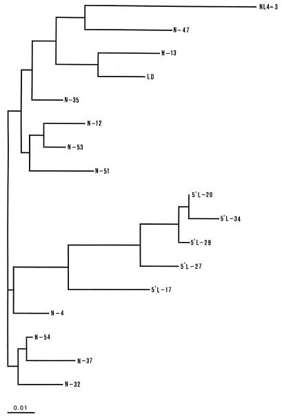 FIG. 6