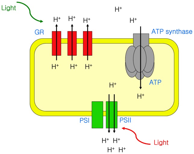 Figure 6