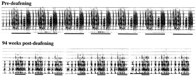 Fig. 9.