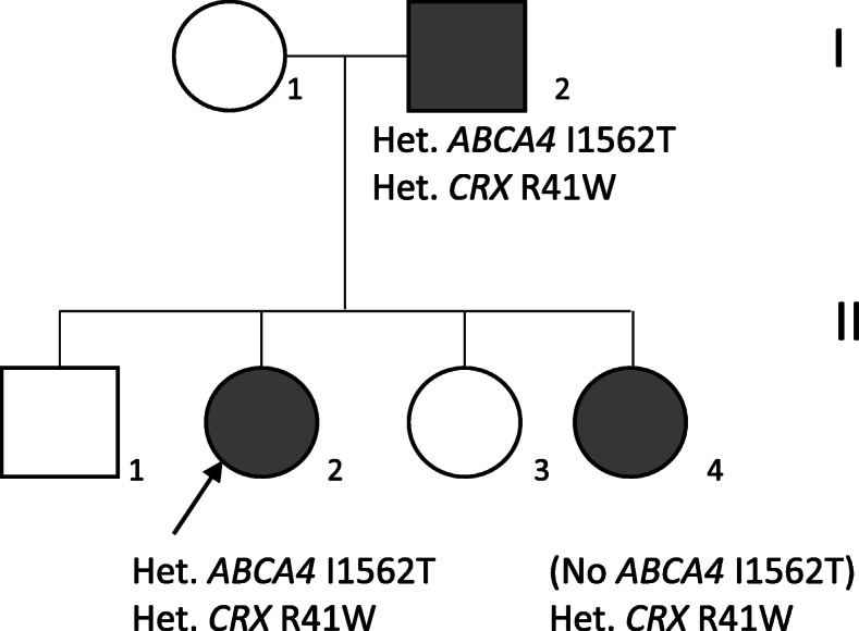 Fig. 3