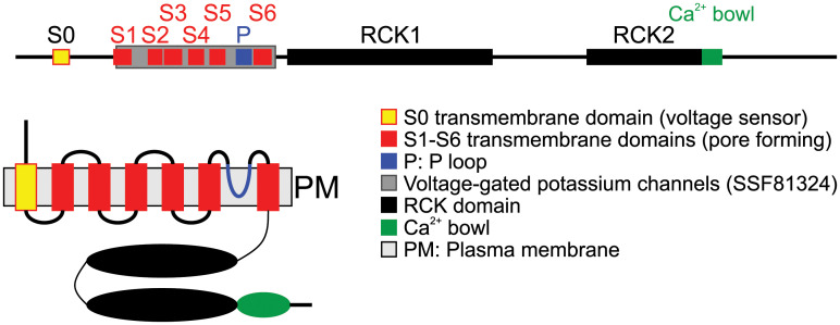 Fig 4