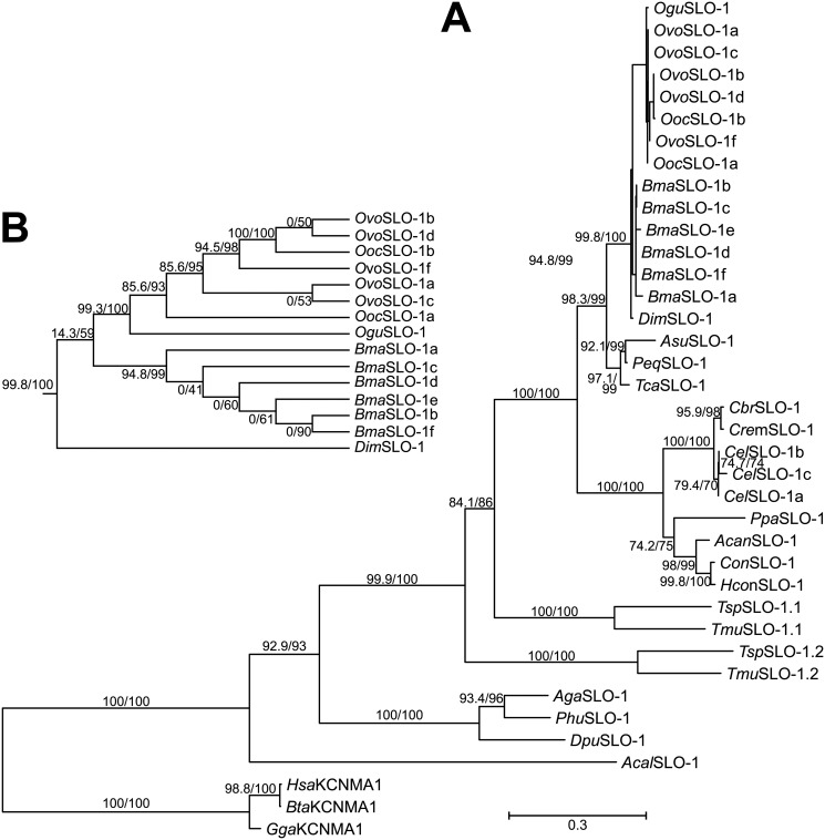 Fig 5