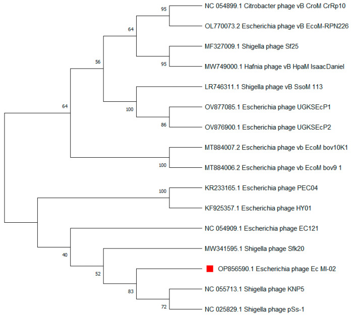 Figure 6