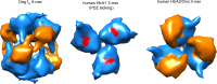 Fig. 4