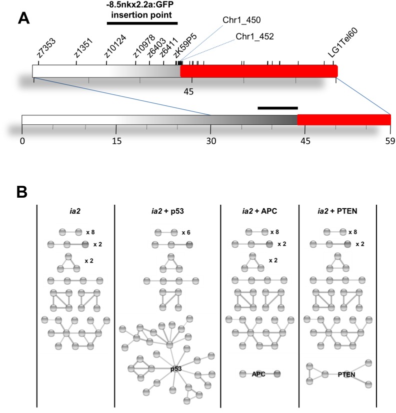 Fig 6