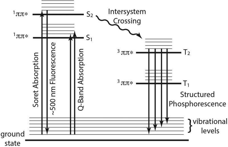 Figure 8