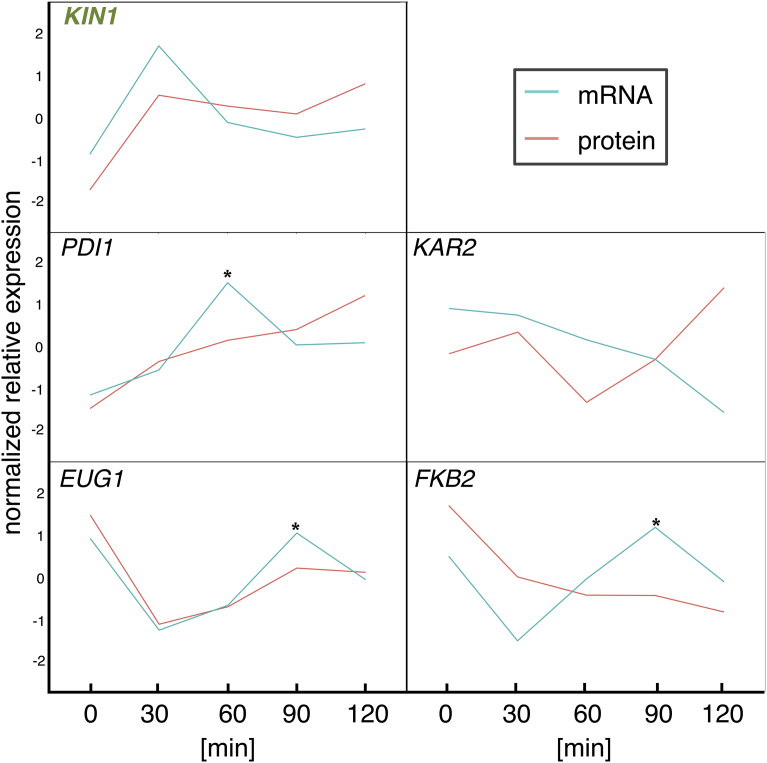 Fig. 11