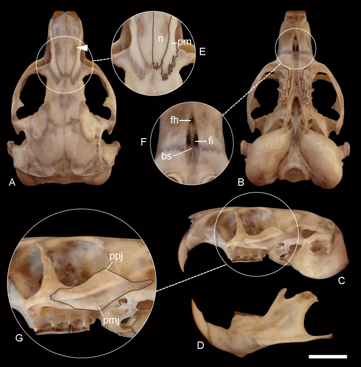 Figure 7