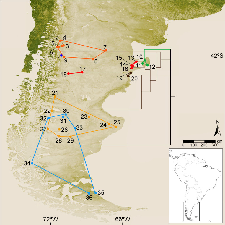 Figure 1